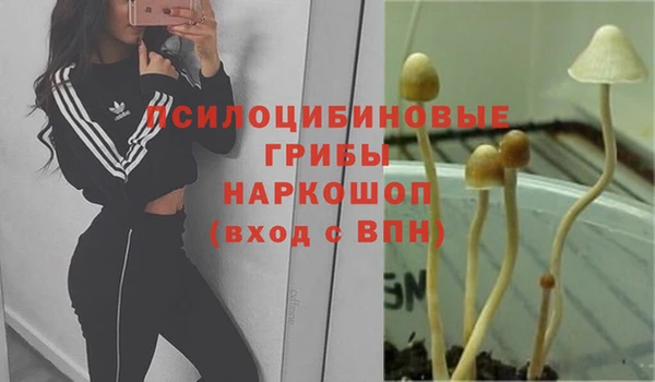 героин Богородск