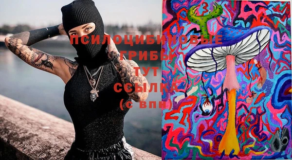 гашишное масло Богданович