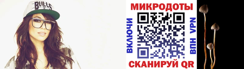 Псилоцибиновые грибы ЛСД  ссылка на мегу   Кочубеевское  купить  